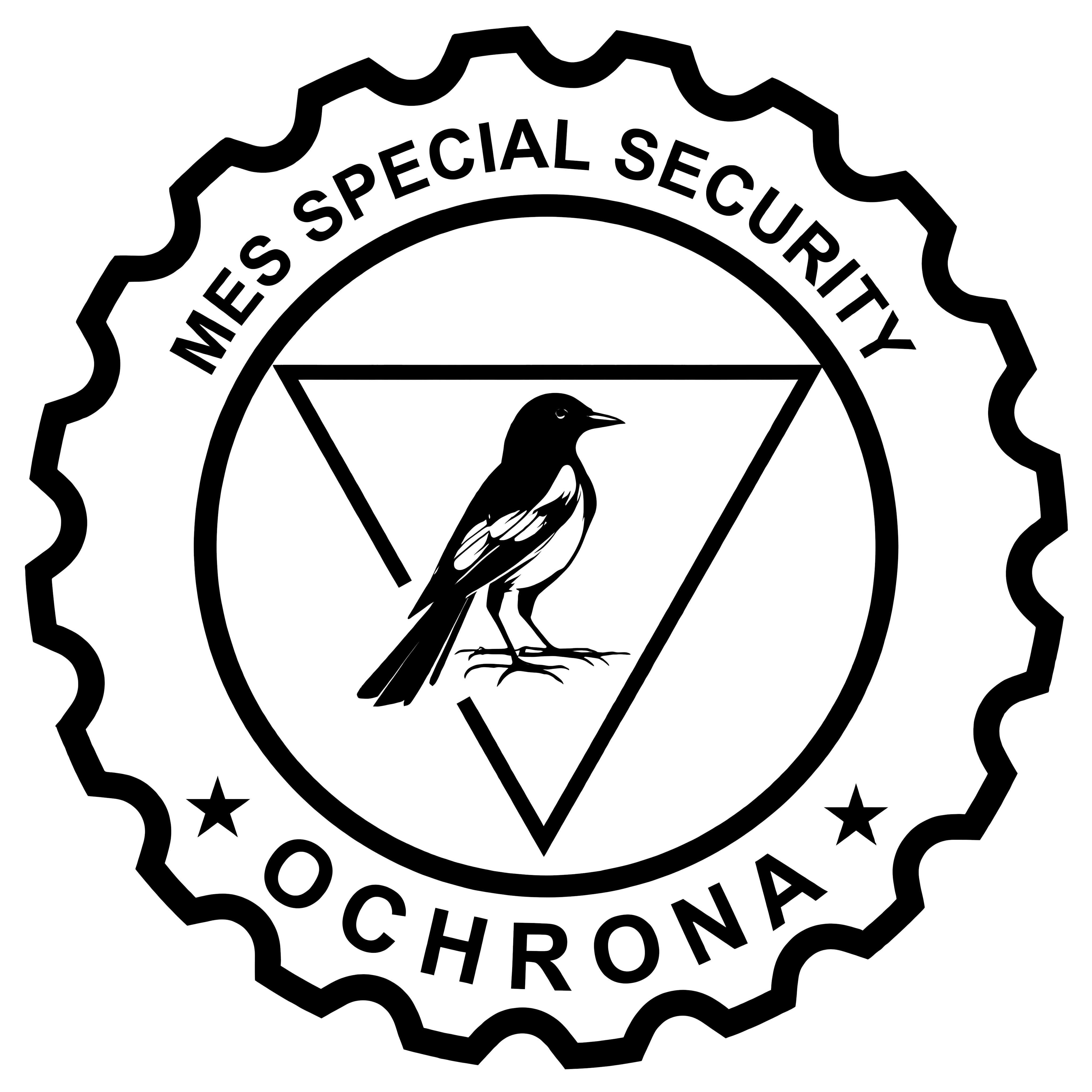 MES Special Security