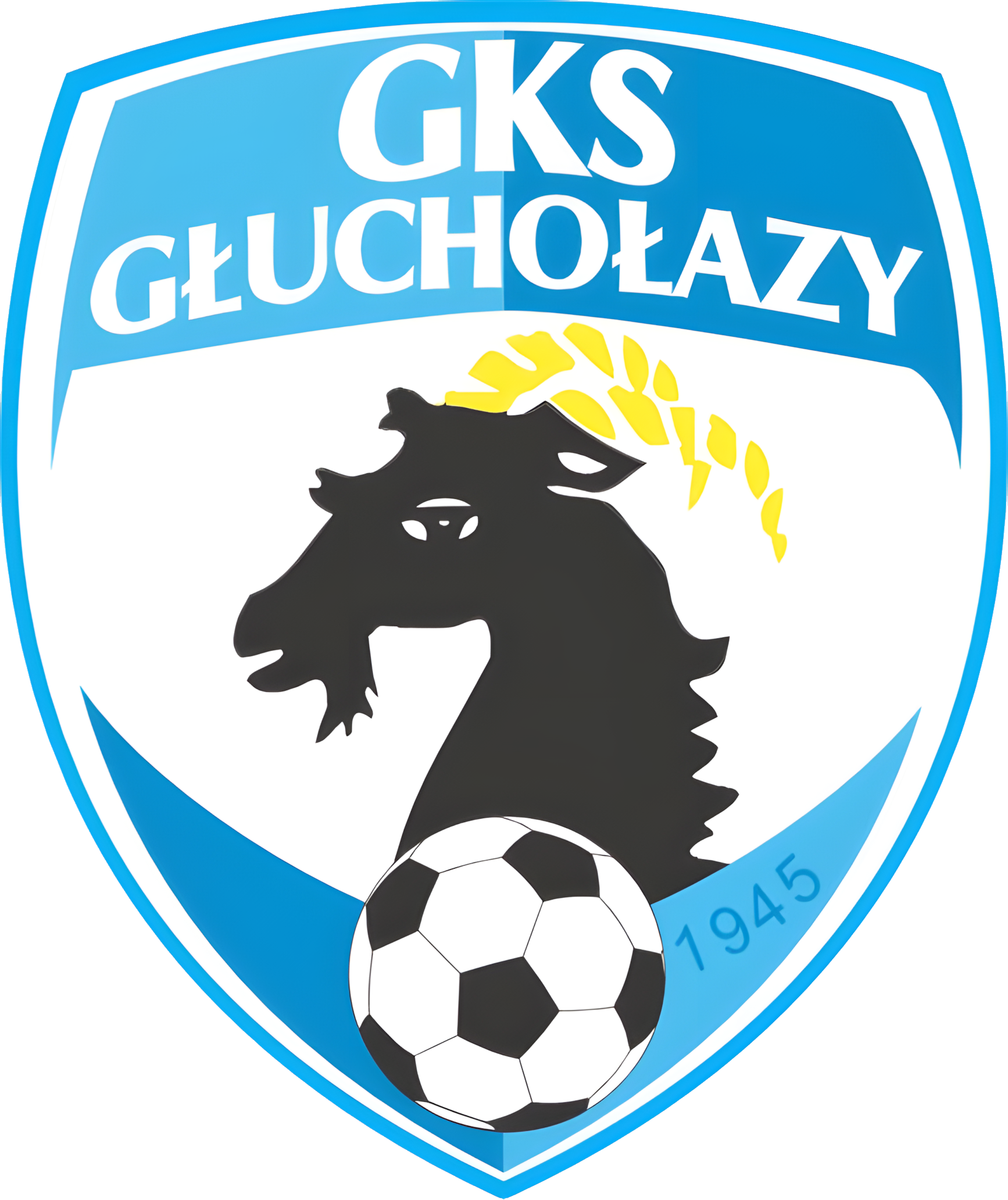 GKS GŁUCHOŁAZY